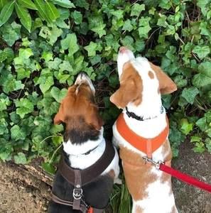 Meet your Posher, Jodi